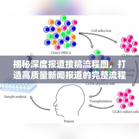揭秘深度報(bào)道接稿流程圖，打造高質(zhì)量新聞報(bào)道的完整流程揭秘