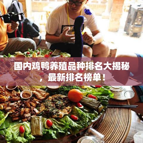 國內(nèi)雞鴨養(yǎng)殖品種排名大揭秘，最新排名榜單！