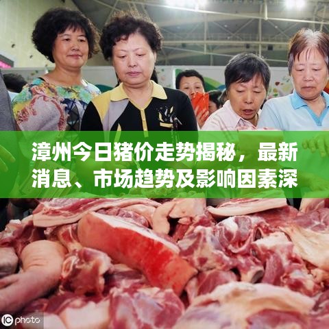 漳州今日豬價走勢揭秘，最新消息、市場趨勢及影響因素深度解析