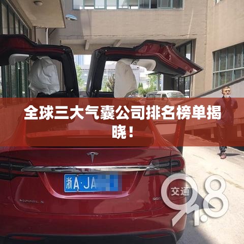 全球三大氣囊公司排名榜單揭曉！