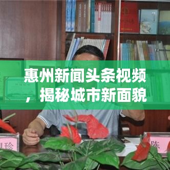惠州新聞頭條視頻，揭秘城市新面貌，精彩內(nèi)容不容錯過