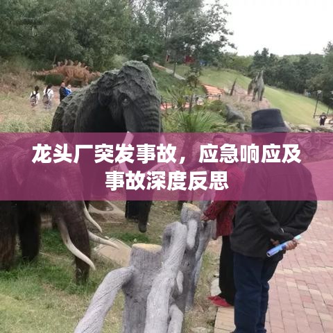 龍頭廠突發(fā)事故，應(yīng)急響應(yīng)及事故深度反思