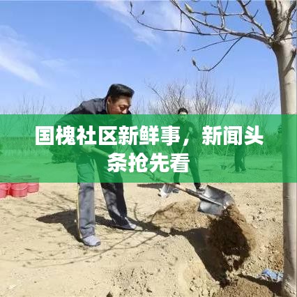 國槐社區(qū)新鮮事，新聞頭條搶先看