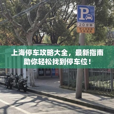 上海停車攻略大全，最新指南助你輕松找到停車位！