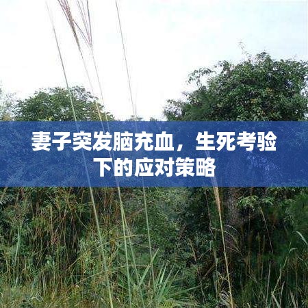 妻子突發(fā)腦充血，生死考驗下的應(yīng)對策略