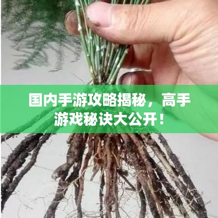 國(guó)內(nèi)手游攻略揭秘，高手游戲秘訣大公開！