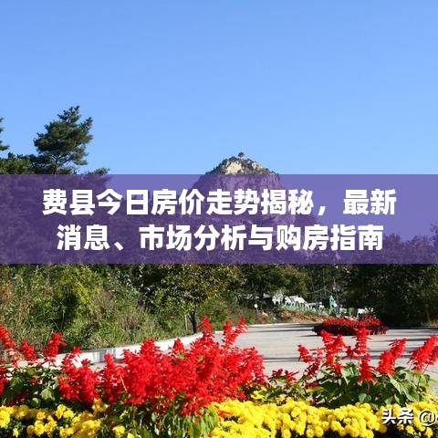 費(fèi)縣今日房價走勢揭秘，最新消息、市場分析與購房指南