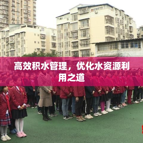 高效積水管理，優(yōu)化水資源利用之道