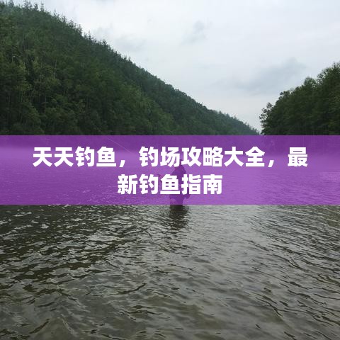 天天釣魚(yú)，釣場(chǎng)攻略大全，最新釣魚(yú)指南