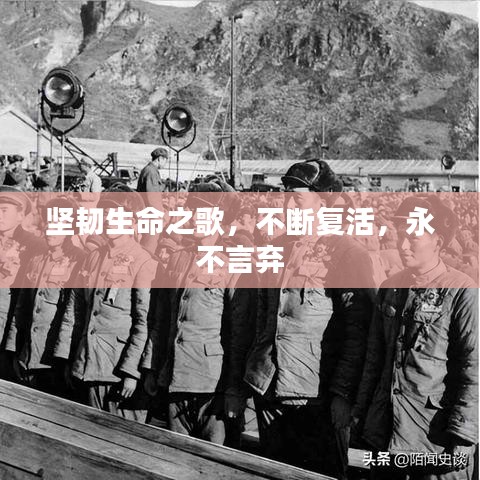 堅(jiān)韌生命之歌，不斷復(fù)活，永不言棄