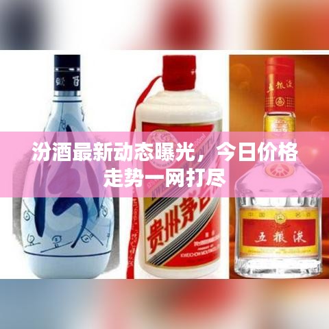 汾酒最新動態(tài)曝光，今日價格走勢一網(wǎng)打盡