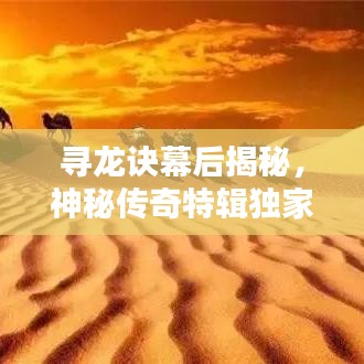 尋龍?jiān)E幕后揭秘，神秘傳奇特輯獨(dú)家呈現(xiàn)
