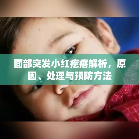 面部突發(fā)小紅疙瘩解析，原因、處理與預(yù)防方法