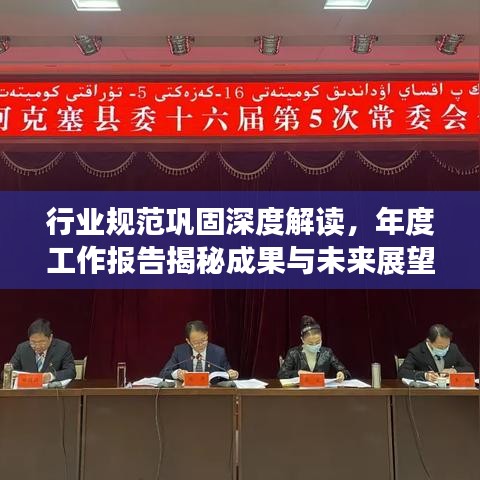 行業(yè)規(guī)范鞏固深度解讀，年度工作報告揭秘成果與未來展望