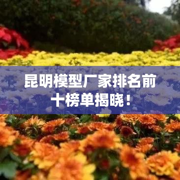 昆明模型廠家排名前十榜單揭曉！