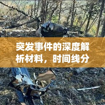 突發(fā)事件的深度解析材料，時(shí)間線分析揭秘事件真相