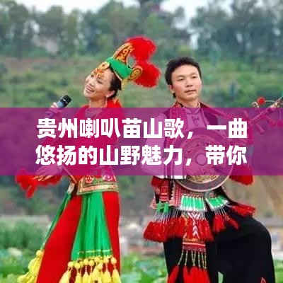 貴州喇叭苗山歌，一曲悠揚(yáng)的山野魅力，帶你探尋其獨(dú)特韻味