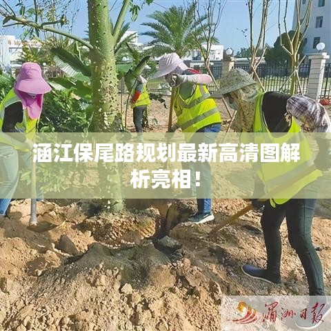 涵江保尾路規(guī)劃最新高清圖解析亮相！