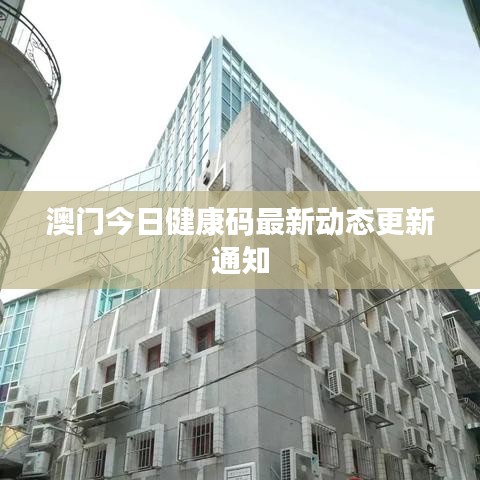 澳門(mén)今日健康碼最新動(dòng)態(tài)更新通知