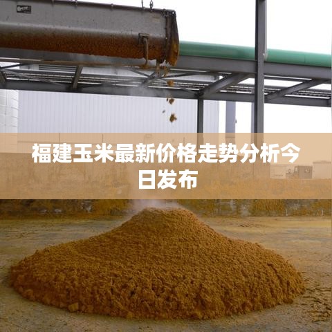 金石為開 第2頁