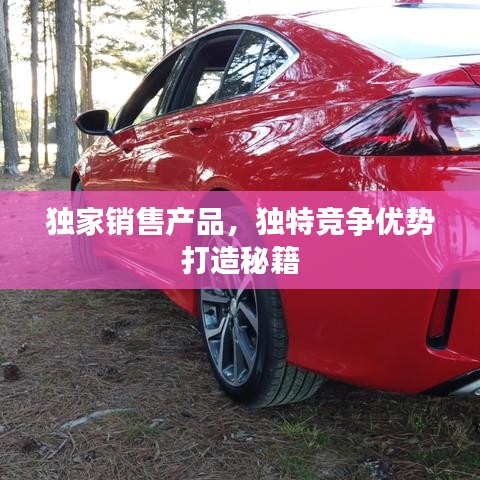 獨(dú)家銷售產(chǎn)品，獨(dú)特競爭優(yōu)勢打造秘籍