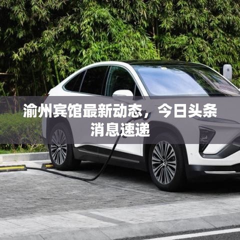 渝州賓館最新動態(tài)，今日頭條消息速遞