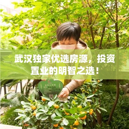 龍馬精神 第2頁(yè)