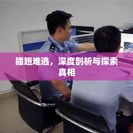 插翅難逃，深度剖析與探索真相