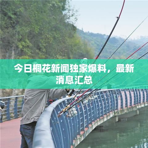 今日桐花新聞獨家爆料，最新消息匯總