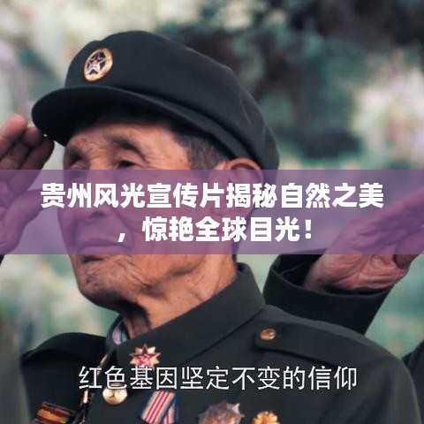 一花獨(dú)放 第2頁