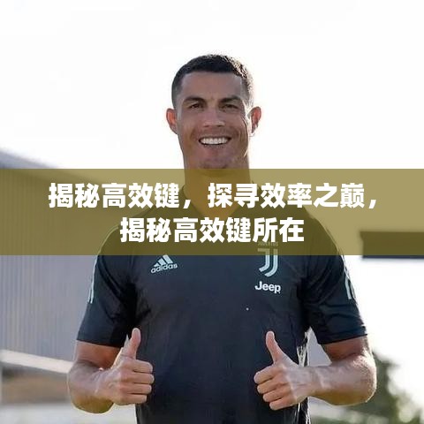 揭秘高效鍵，探尋效率之巔，揭秘高效鍵所在