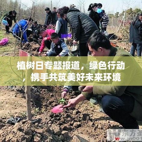 植樹日專題報(bào)道，綠色行動(dòng)，攜手共筑美好未來環(huán)境
