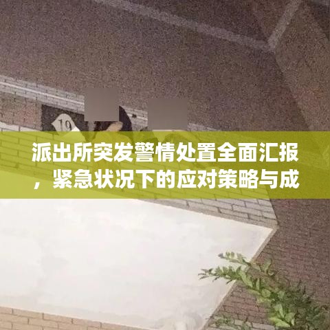派出所突發(fā)警情處置全面匯報，緊急狀況下的應(yīng)對策略與成效分析