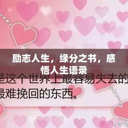 勵志人生，緣分之書，感悟人生語錄