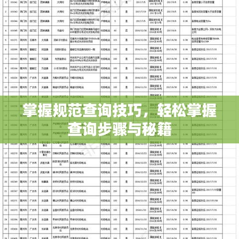 掌握規(guī)范查詢技巧，輕松掌握查詢步驟與秘籍