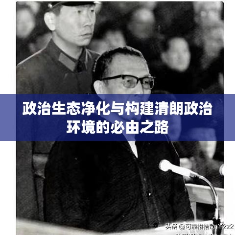 政治生態(tài)凈化與構(gòu)建清朗政治環(huán)境的必由之路