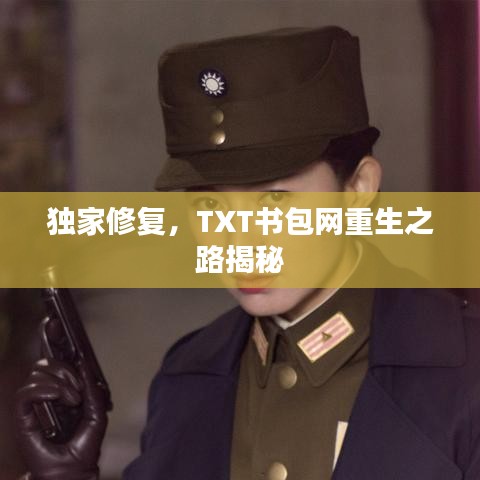 獨家修復，TXT書包網(wǎng)重生之路揭秘