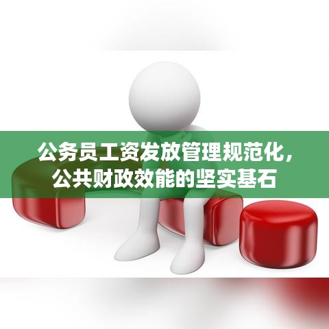 公務(wù)員工資發(fā)放管理規(guī)范化，公共財(cái)政效能的堅(jiān)實(shí)基石