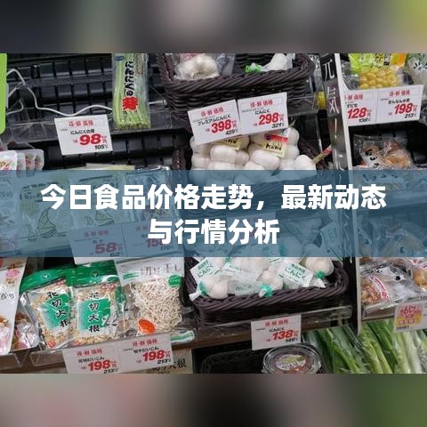 今日食品價格走勢，最新動態(tài)與行情分析