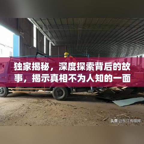 獨(dú)家揭秘，深度探索背后的故事，揭示真相不為人知的一面