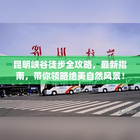 剛毅木訥 第2頁(yè)