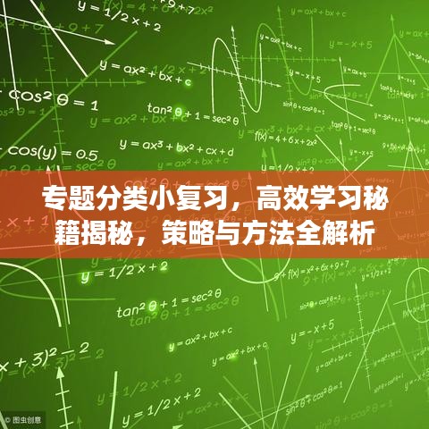 專題分類小復習，高效學習秘籍揭秘，策略與方法全解析