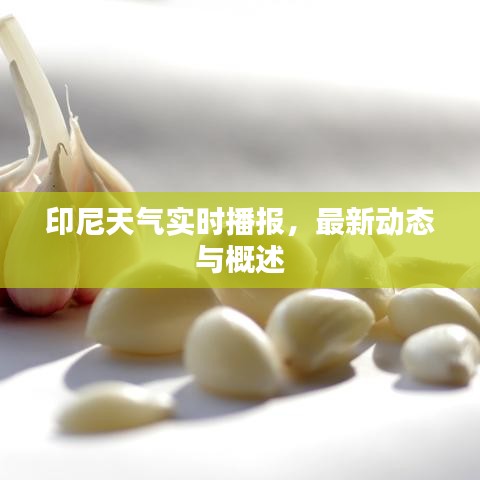 印尼天氣實時播報，最新動態(tài)與概述