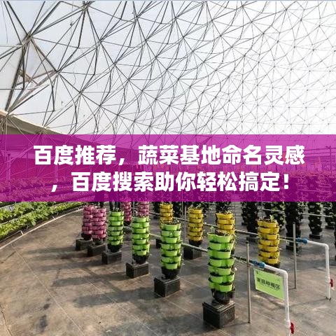 百度推薦，蔬菜基地命名靈感，百度搜索助你輕松搞定！