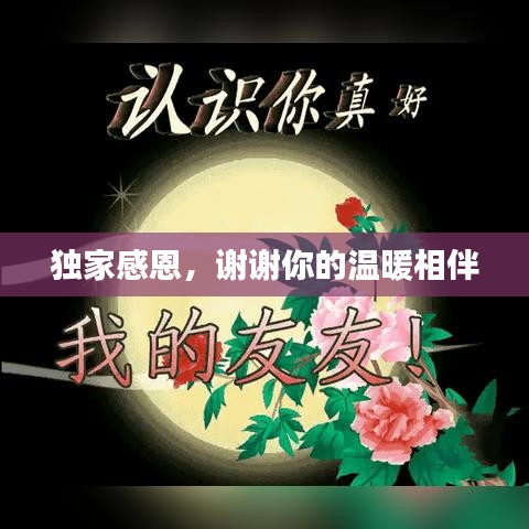 獨(dú)家感恩，謝謝你的溫暖相伴