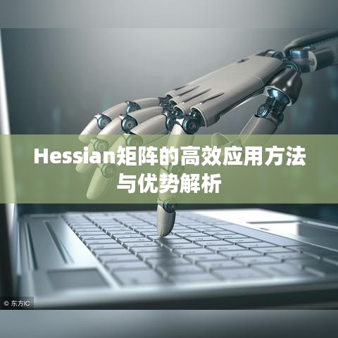 Hessian矩陣的高效應(yīng)用方法與優(yōu)勢(shì)解析