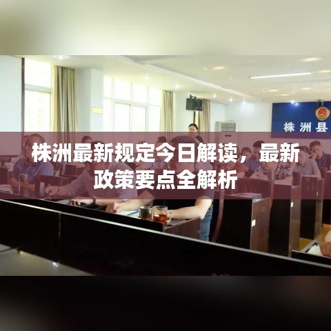 株洲最新規(guī)定今日解讀，最新政策要點全解析