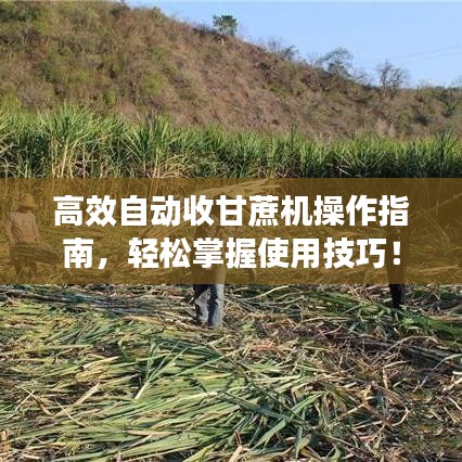高效自動收甘蔗機(jī)操作指南，輕松掌握使用技巧！
