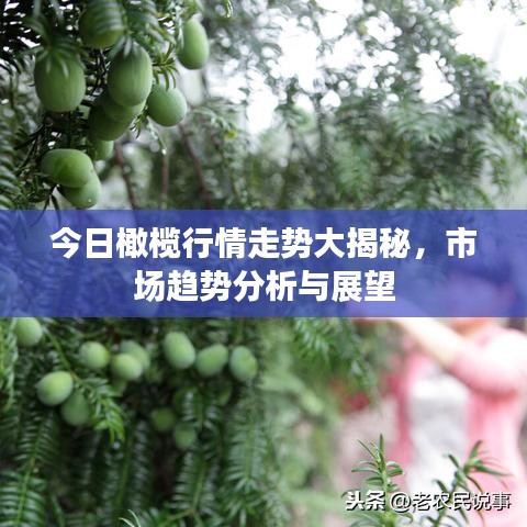 暗室屋漏 第2頁