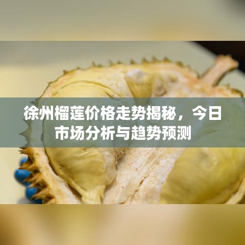 徐州榴蓮價格走勢揭秘，今日市場分析與趨勢預測